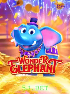 Descubra o Fascinante Mundo de WonderElephant com 5J.BET